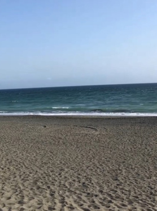 砂浜の写真